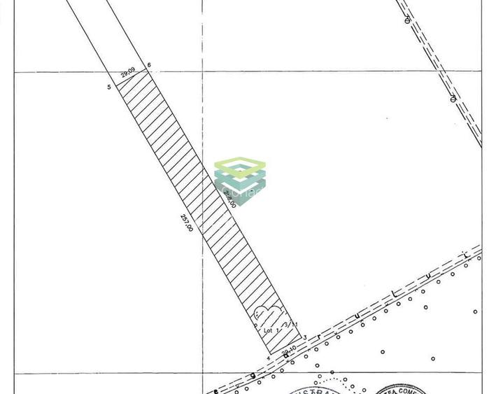 Teren de vanzare Padurea Baneasa 7.500 mp - 9