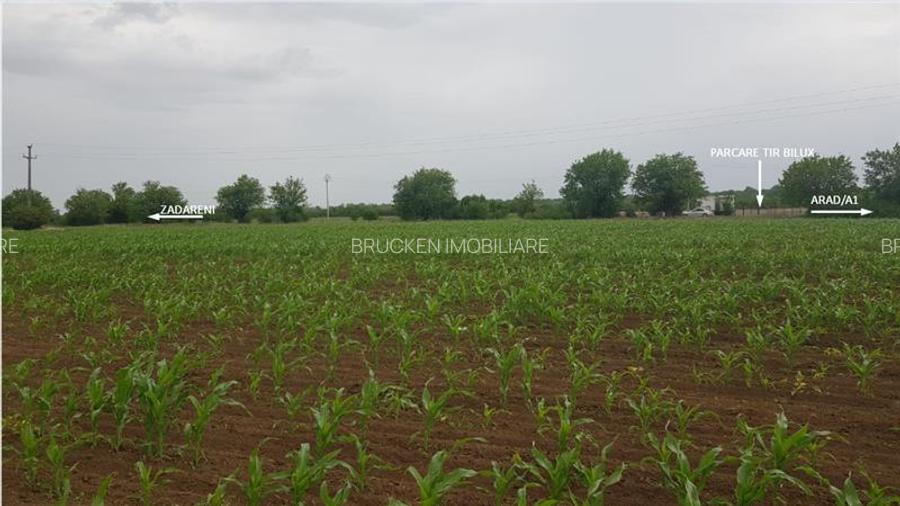 TEREN CU POTENTIAL INDUSTRIAL | 4,35 HA | ARAD, ZADARENI - 6