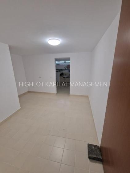 IANCU NICOLAE | BRITISH SCHOOL  | VILA CU PISCINA DISPONIBILA LA INCHIRIERE - 11