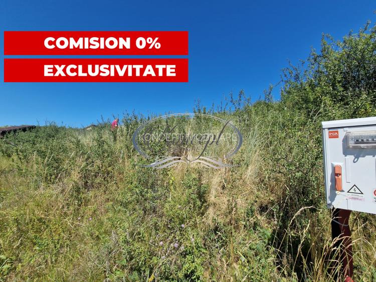 Teren cu proiect de casa in Chinteni - 5