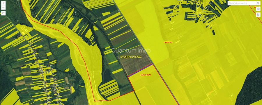 Teren agricol extravilan – deschidere directă DN1 – Bănești, Prahova - 3