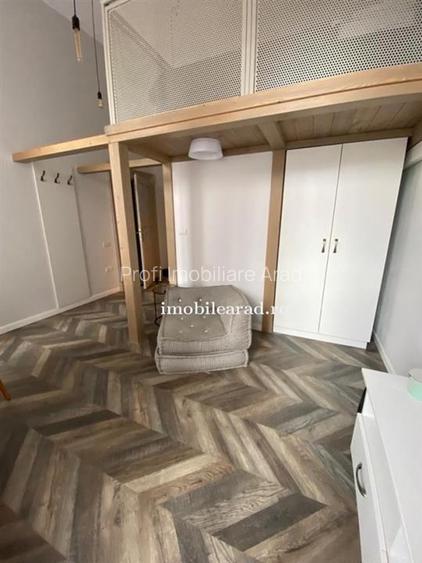 Apartament 60 Euro pe zi, amenajat in stil unic langa Primaria Arad - 2