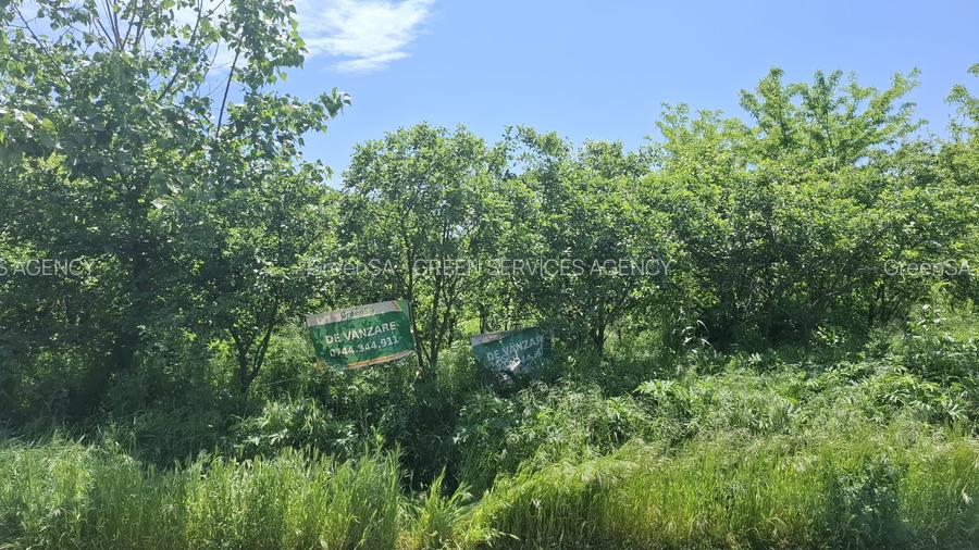 com. Buturugeni, sat Posta, stradal DJ 412A, intravilan, 2720 mp - 10