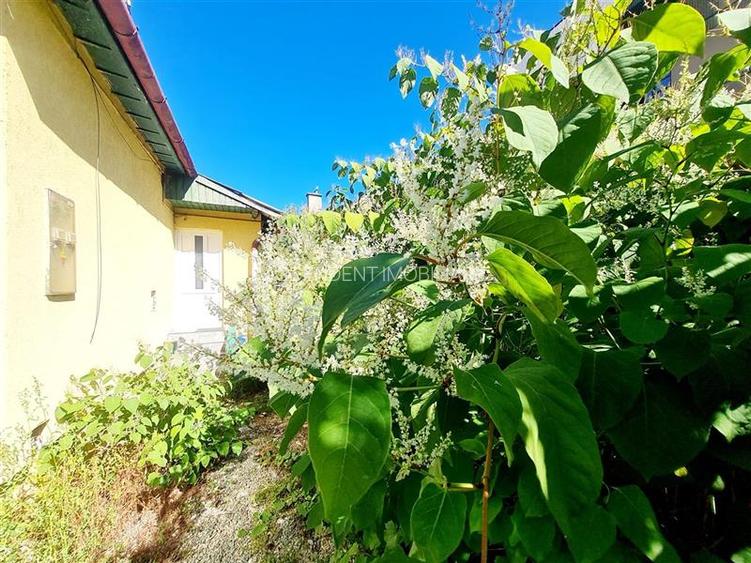 Spatiu pretabil activitati - birouri/ateliere copii/etc. acces stradal, curte pr - 4