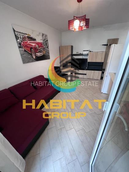 2 camere tip Studio Berceni Metalurgiei mobilat utilat - 2