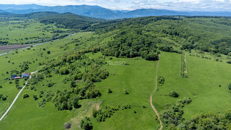 Teren 500 mp în Bradu, Sibiu – 7500 € – Zonă liniștită, priveliște munte - 6