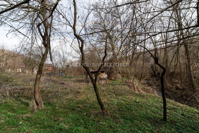 Teren de vanzare – 1221 mp in Budeasa Mica, zona linistita. - 4