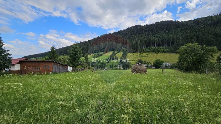 Casa 225 mp, teren intravilan 4822 mp C. Moldovenesc, Suceava - 24