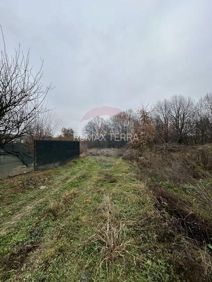 Teren 1,200mp si 400m2 cota drum Satu Nou de Jos / Strada Principala - 7