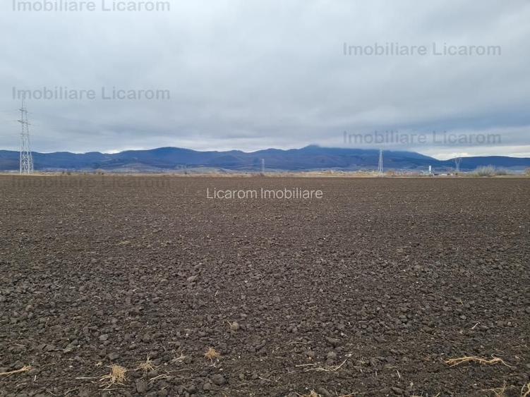 Teren extravilan 2,9 HA,intre Cristian si Vulcan - 3