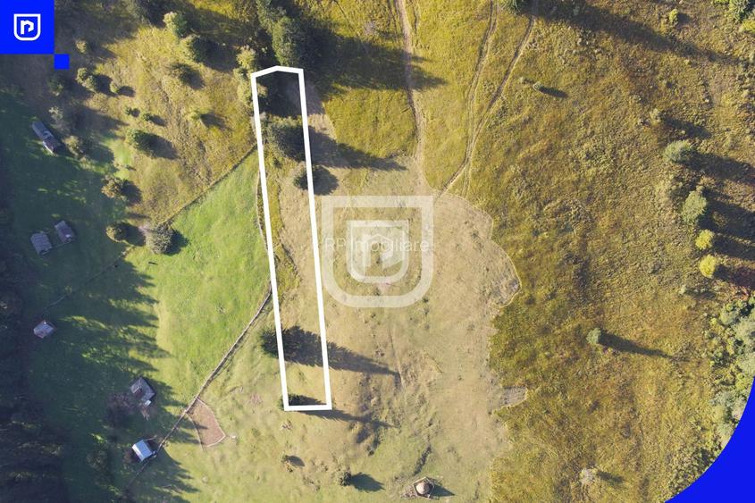 Teren situat in Frasin | BUCOVINA - 3