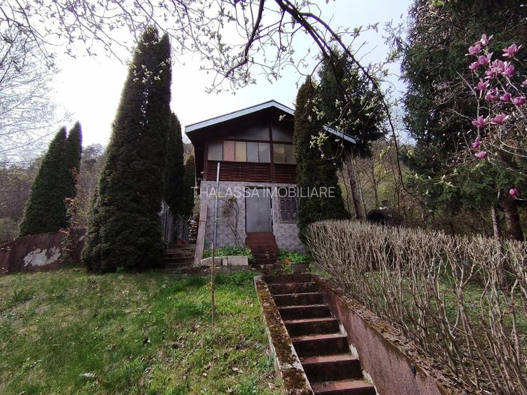 Proprietate de vacanta Valea Oltului - BREZOI - 2