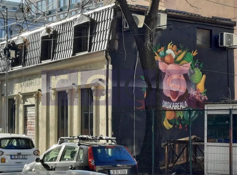 VANZARE CASA VILA PIATA ROMANA AMZEI ULTRACENTRAL INVESTITIE 135MP - 3