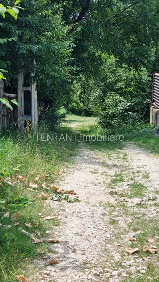 Vanzare Teren  construibil 5700mp Campul Lung Muscel - 7