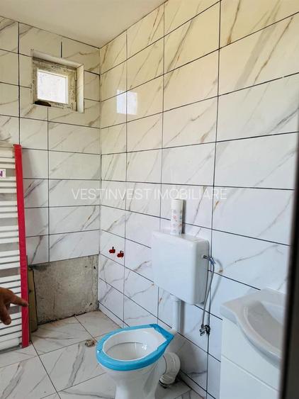 Hala 373 mp + teren in Santaul Mic - 8