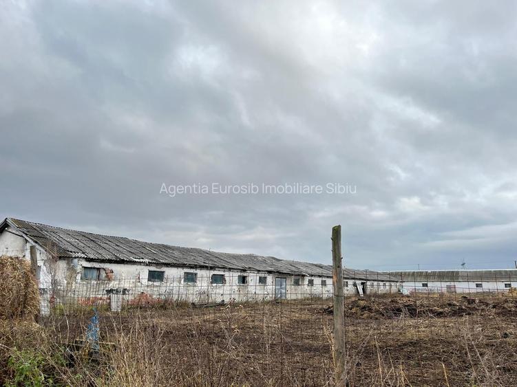 Teren intravilan in Brasov Sambata de Sus - 3