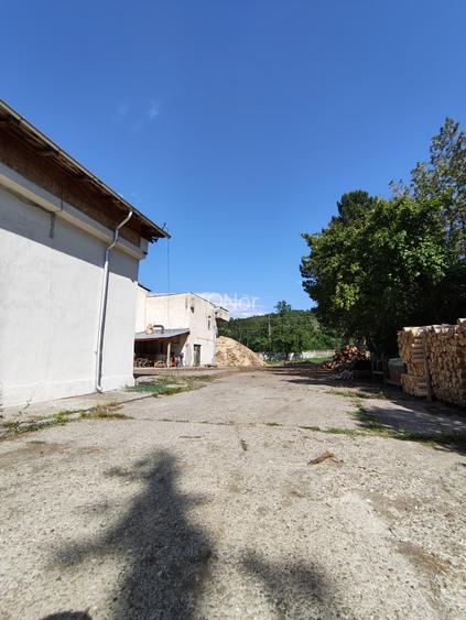 Teren+Hala Soseaua Bacaului-Vaslui 22.000mp - 5