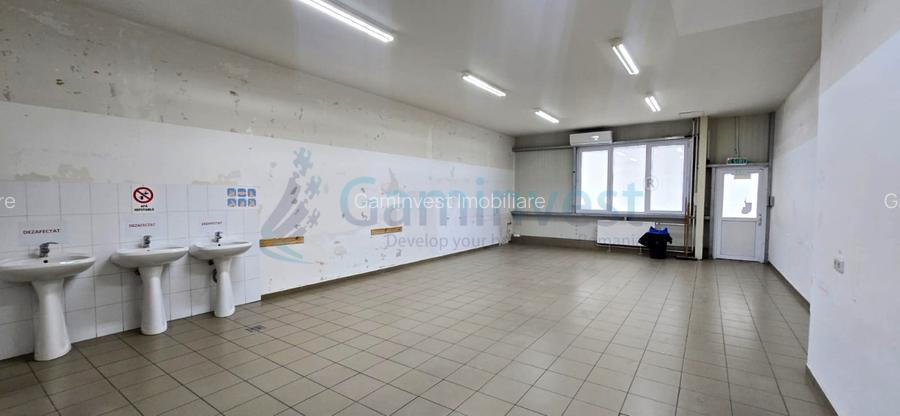 Hala de inchiriat in Marghita pentru productie si depozitare, Bihor - 14