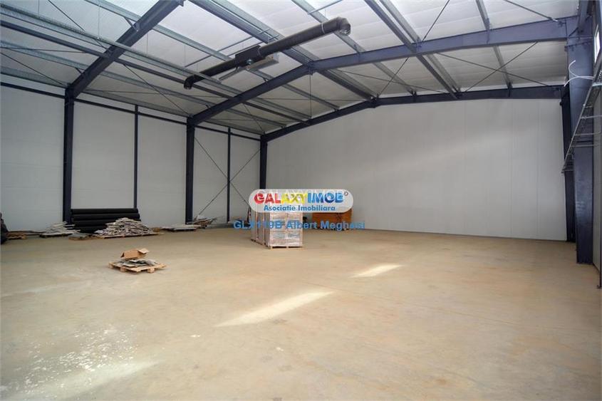 Inchiriere hala 572 mp Chiajna - 10