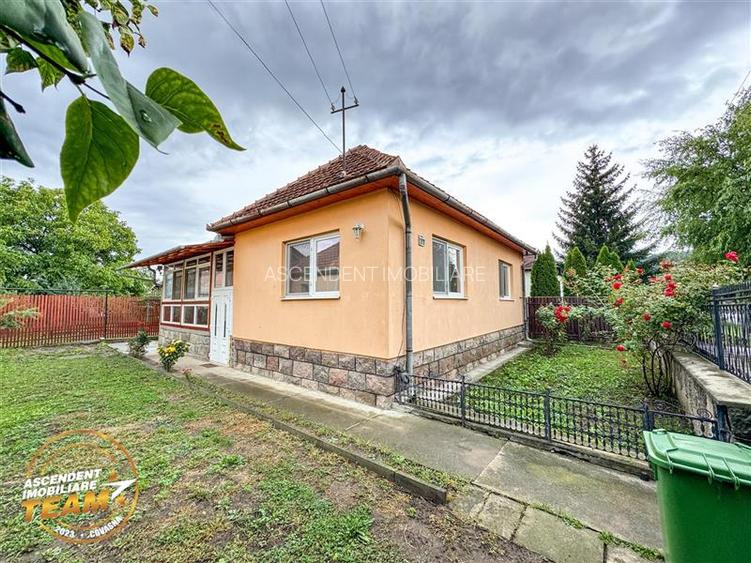 FILM&3D! Casa ospitaliera,curte si gradina asortata,arie linistita,Simeria,Sfant - 16