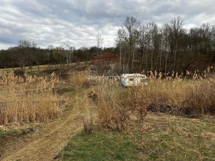 Teren cu panorama superba în Berchezoaia + bonus rulota - 9