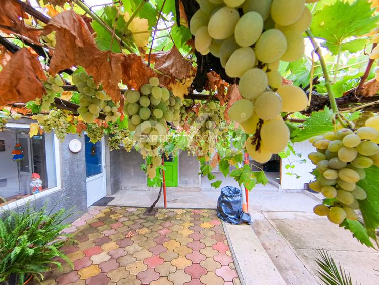 Casa de vanzare in statiunea Buzias - 3