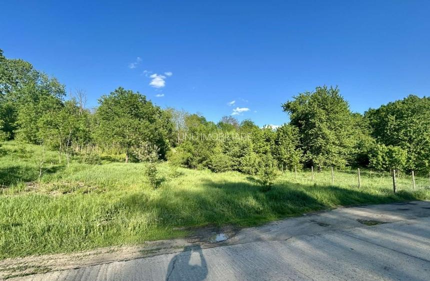 Teren 1000-2000mp intravilan in Gradina Botanica Iasi, 200€/mp, utilitati - 3