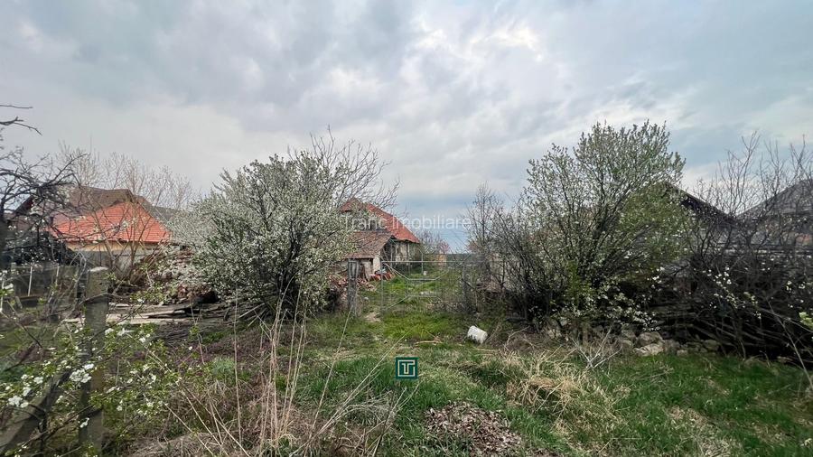 Teren intravilan generos de vânzare în Recaș - 8