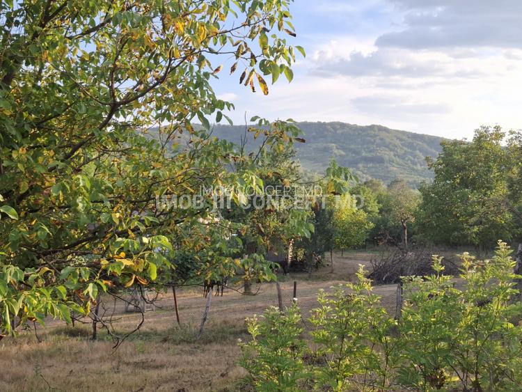 Teren spectaculos cu padure, livada si priveliste panoramica in Soimari PH - 10