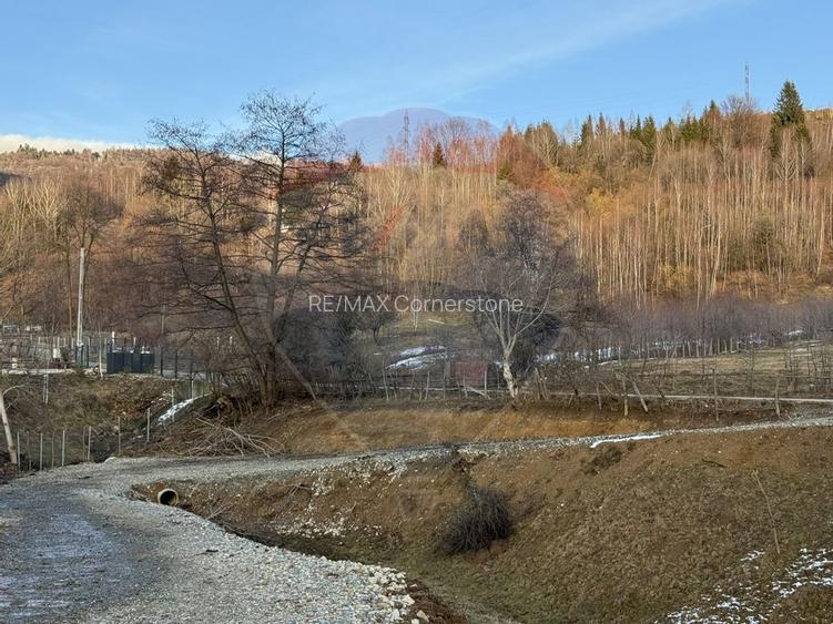 Teren de vanzare in Leresti si casa la roșu cu vedere spre Iezer - 5