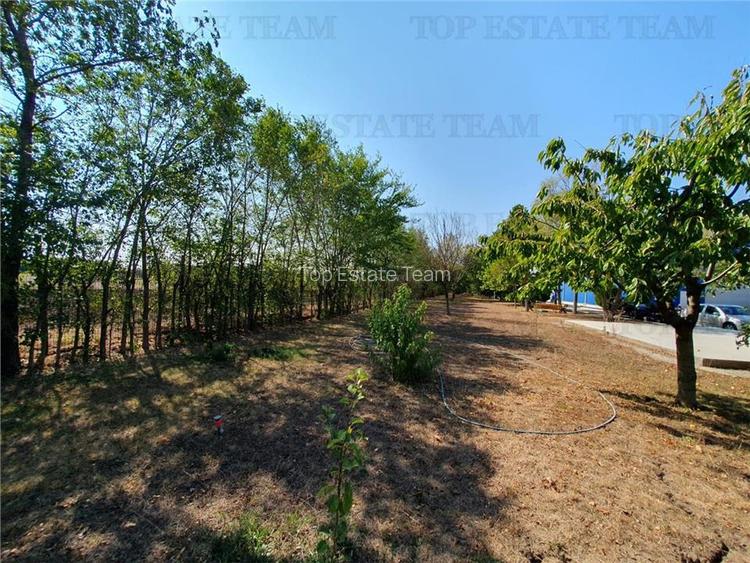 Teren intravilan agricol si teren curti constructii Lot 2 Parcela A326/49 - 13