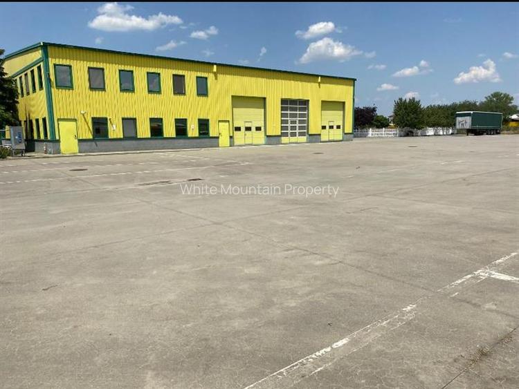 Pecica, 12000 mp platforma, inchiriere lunga durata, - 2