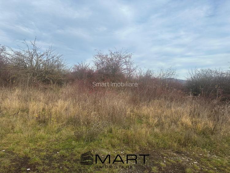 Teren Intravilan 1105 mp Sanpetru - 4