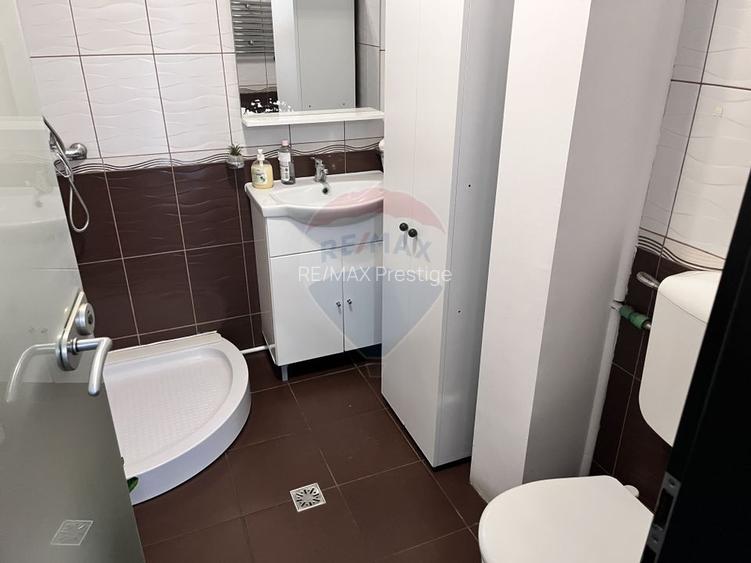 Vila de închiriat 6 camere Piata Victoriei - 20