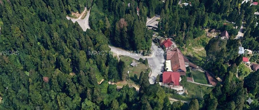 Oportunitate de Investiție: Teren 1.814 mp | Calea Codrului, Sinaia - 5