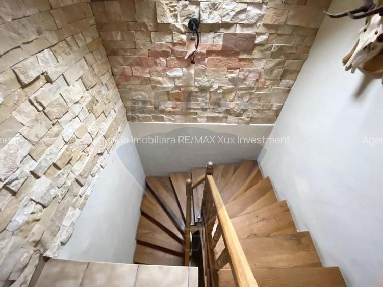 Vila  de vacanta Sibiel - 6