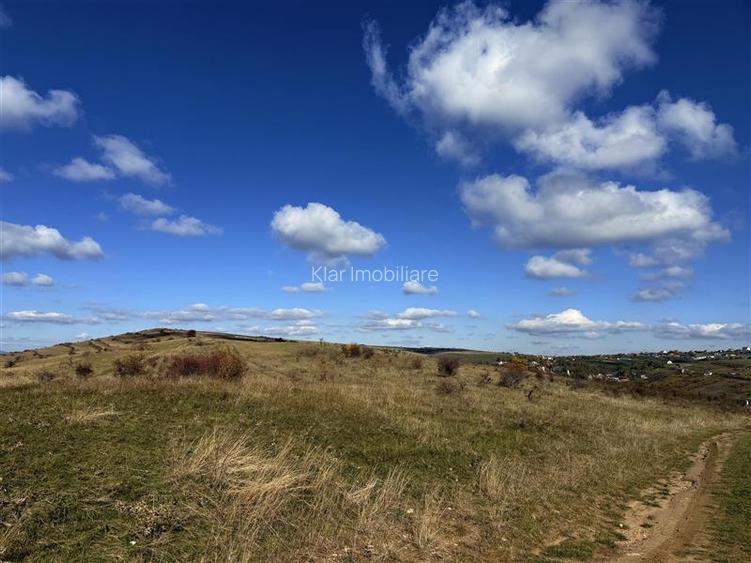 Comision 0% Oportunitate investitie teren extravilan  Salicea - 3