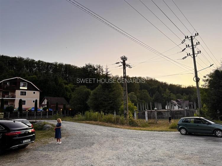 Oportunitate de investitie Cabana Cartisoara Zona Turistica - 24