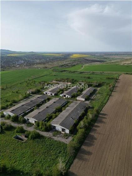 Ferma de vanzare in localitatea Bestepe - 3