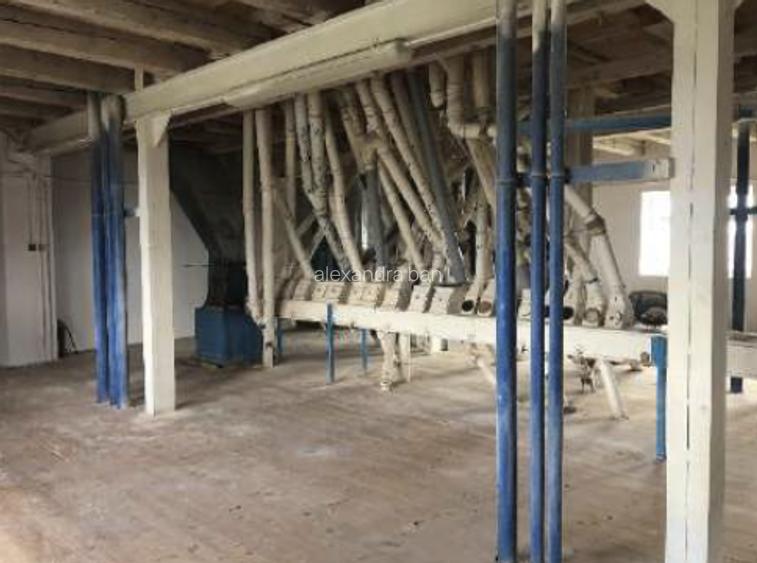 Moară cereale 50 t/zi + afacere funcțională | teren + hale | Bihor - 7
