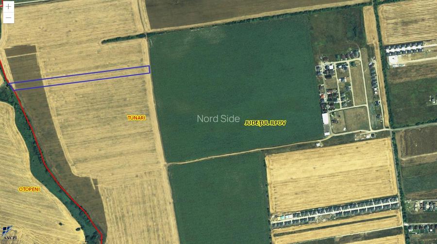 Teren intravilat Tunari 15000m2 - 3