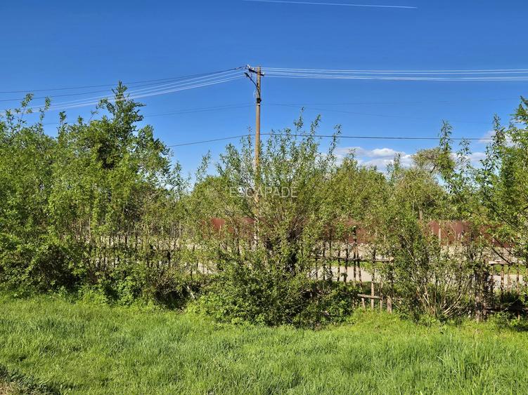 Comision 0 %/ Teren intravilan Sercaita 2247 mp - 13