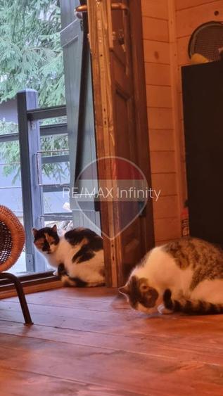 Casă de vacanta Lunca Visagului (Valea Draganului) - 14