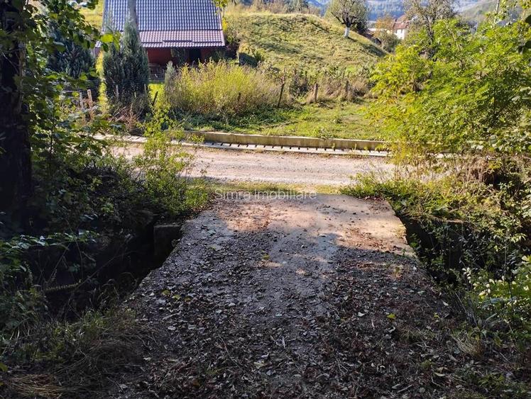 Teren extravilan de 1050mp, Bulz - 3