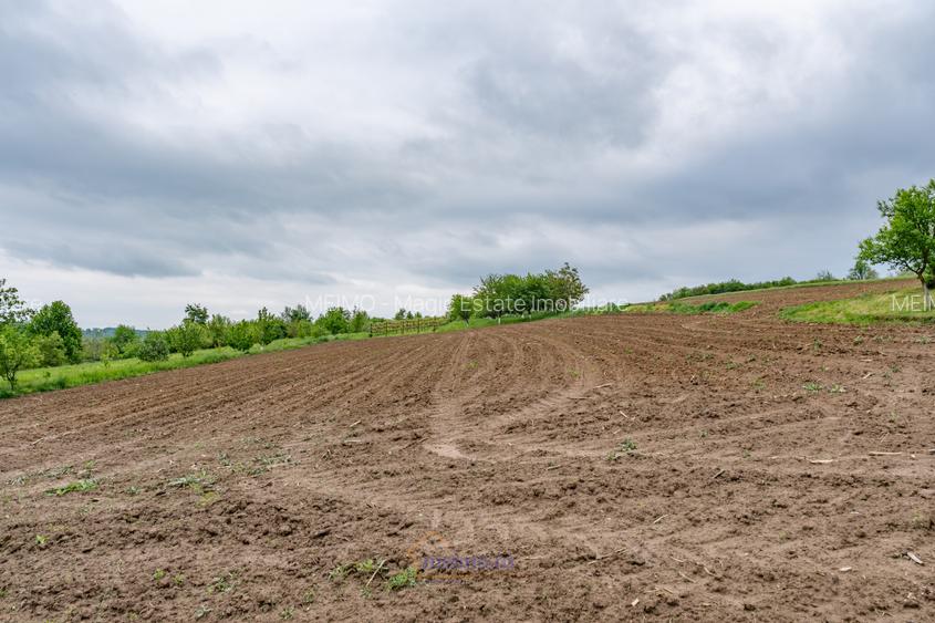 Casă din chirpici, bucătărie de vară și 1.34 ha de teren, Ardeoani - 19