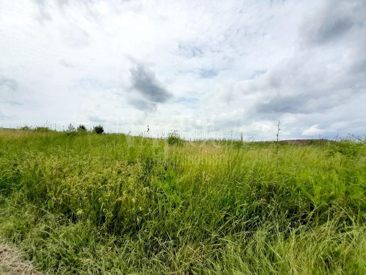 Teren intravilan pentru constructii de vanzare in Cheriu - 2