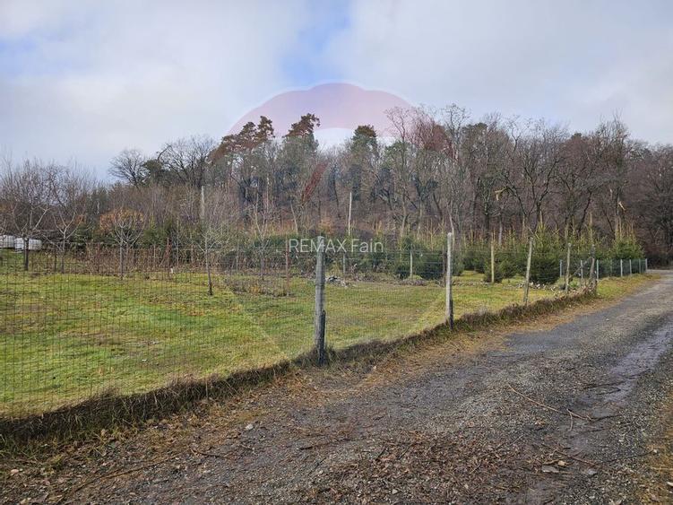 Teren  vanzare 1441 mp Cisnadioara strada Ciresilor - 3