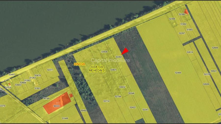 Teren 3000 mp dublu acces – vedere la Dunăre - 2