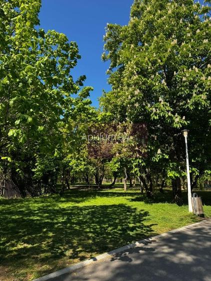Apartament 3 camere, la parc IOR - 12