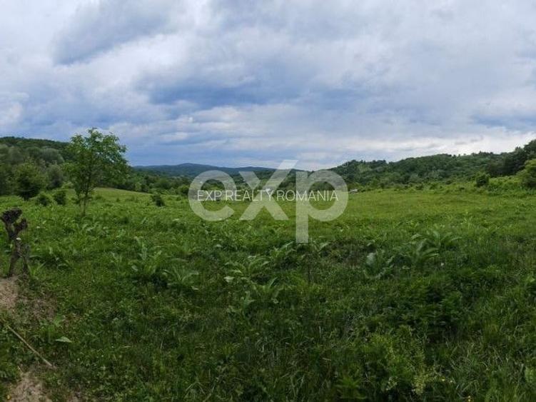 Teren 11,935mp Margineni / Strada Dubas - 3